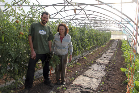 In october the winter cabbages were planted in the unheated greenhouses of El Nocéu. Carrots sprout under the blankets.