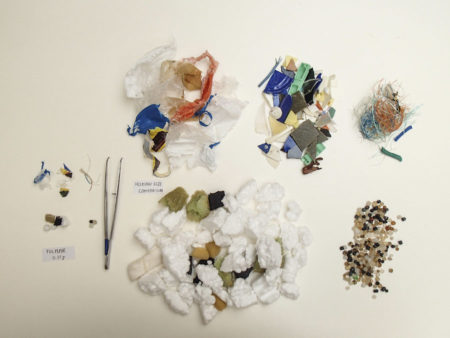 Fulmar Average Ingestion of Plastics 2003-2007: 3.1g, scaled to human size comparision. Photo: Jan van Franeker, IMARES.